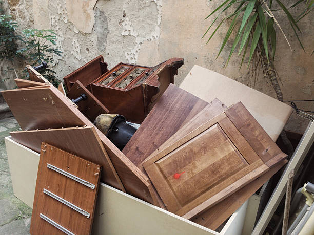 Best Construction Debris Removal  in Trinity, FL